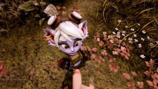 Leve Seus Yordles ao Prazer